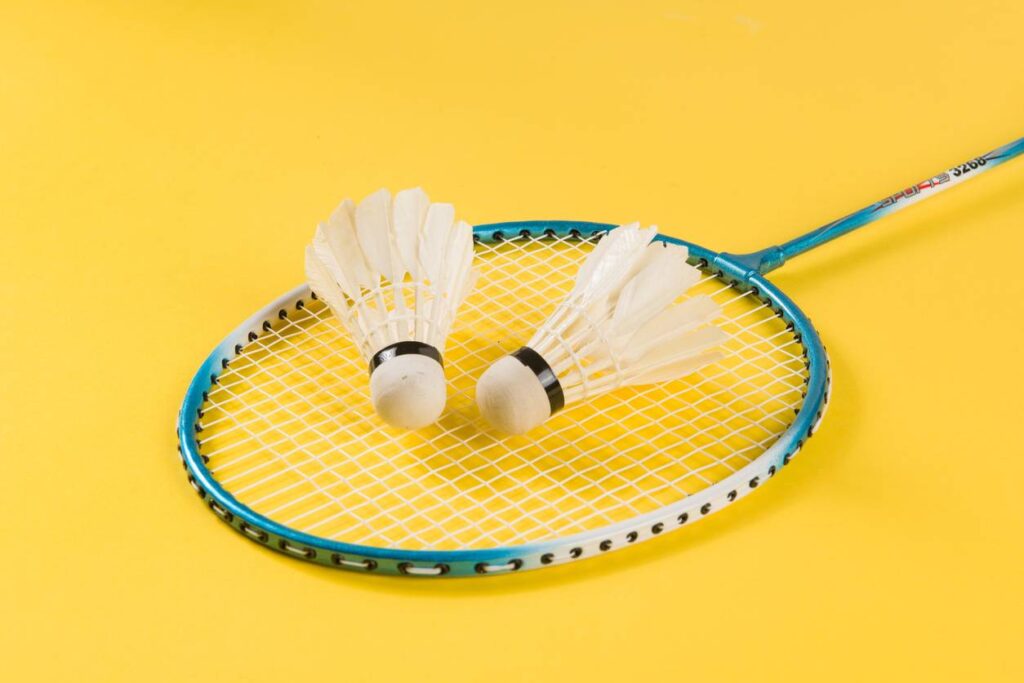 raquette badminton
