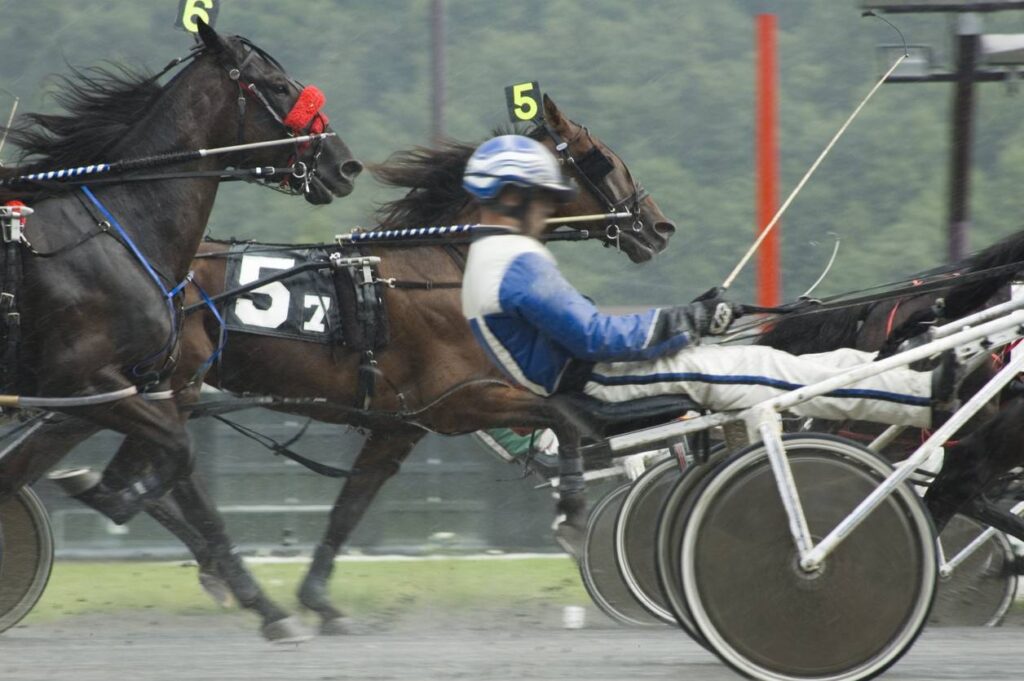 Grand national du trot