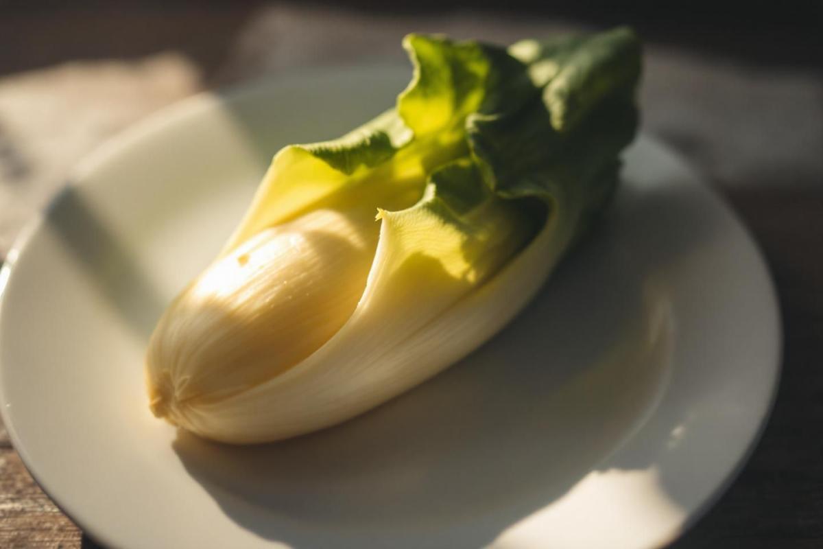 Calories endive : 17 calories et valeur nutritionnelle complète