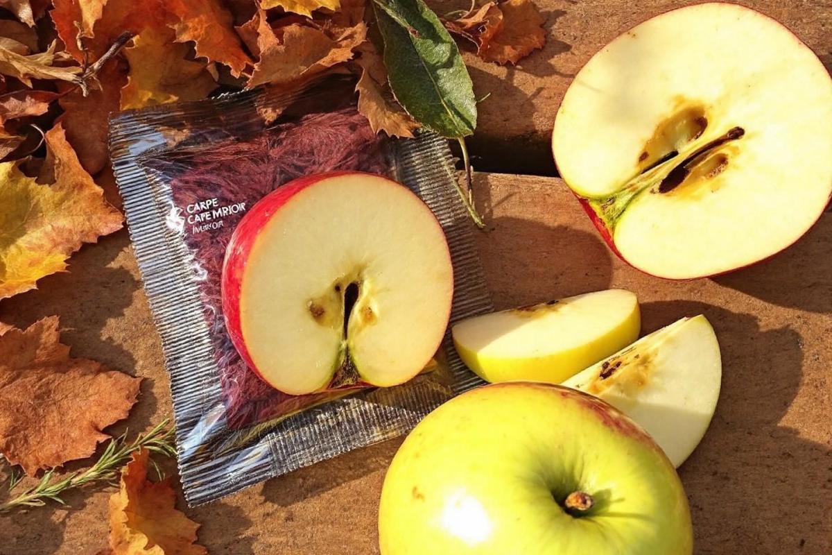 Carpe miroir tarte aux pommes : découvrez cette variété fascinante